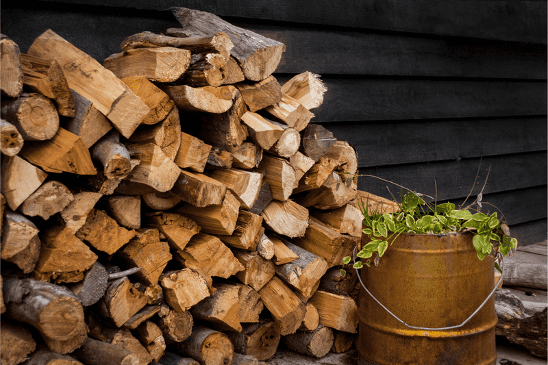 Firewood And Debris Create Hidden Daytime Retreats Firewood And Debris Create Hidden Daytime Retreats