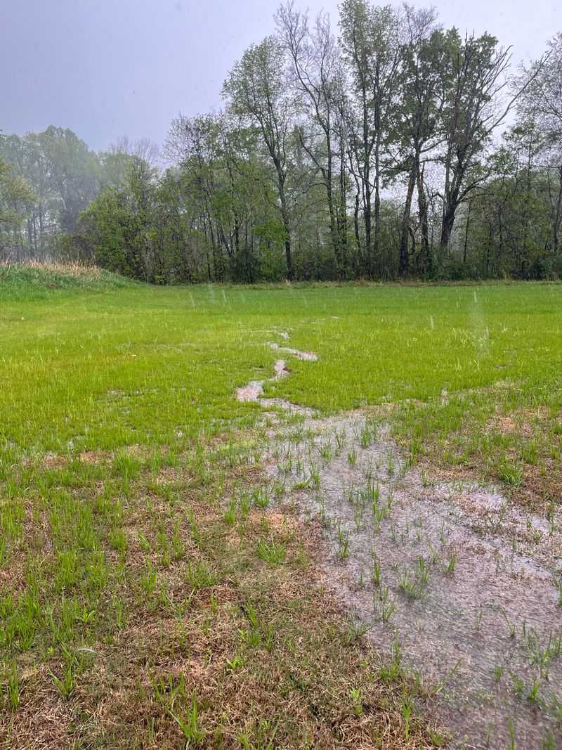 Fix Drainage Problems Instead Of Adding More Water
