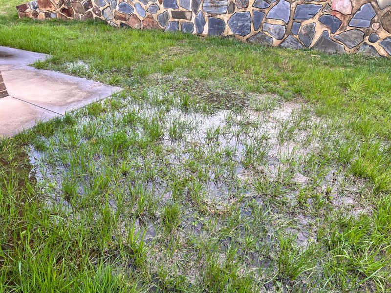 Fix Spots Where Water Collects Fix Spots Where Water Collects