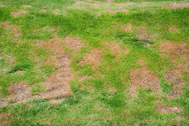 Fix The Moisture Pattern Before The Next August Downpour Fix The Moisture Pattern Before The Next August Downpour