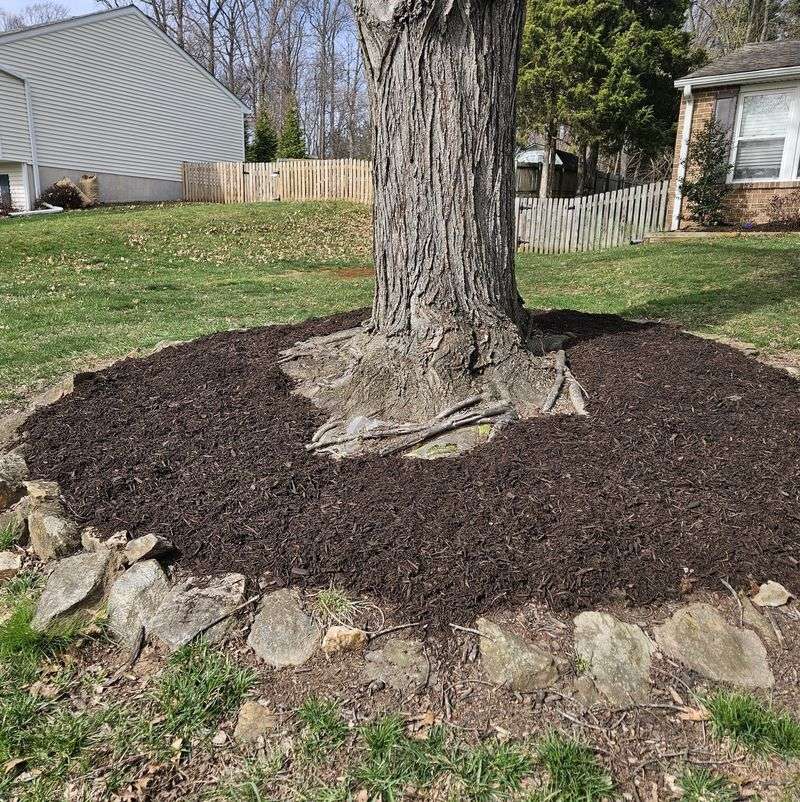 Fix These Mulching Mistakes Before Fall Fix These Mulching Mistakes Before Fall