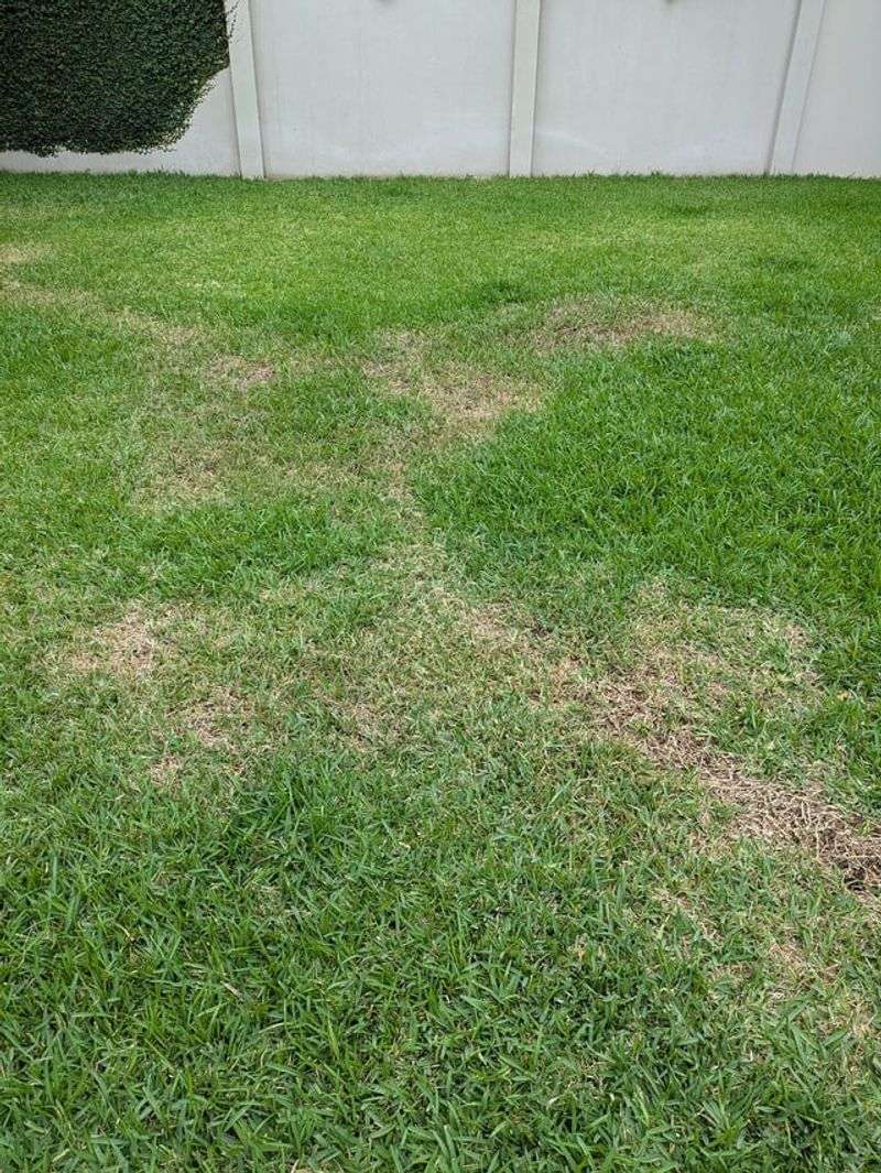 Fix Uneven Watering Before Adding More Water