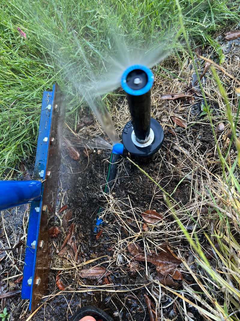 Fix Your Irrigation Before Roaches Find The Moisture Fix Your Irrigation Before Roaches Find The Moisture