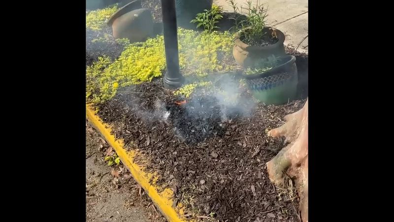 Flying Embers Can Land Right In The Mulch Flying Embers Can Land Right In The Mulch