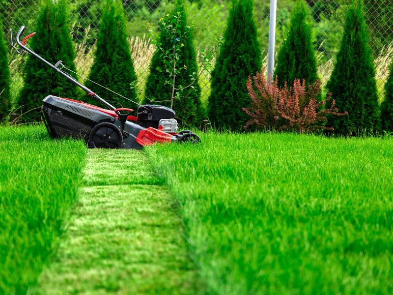Follow The One Third Mowing Rule Follow The One Third Mowing Rule
