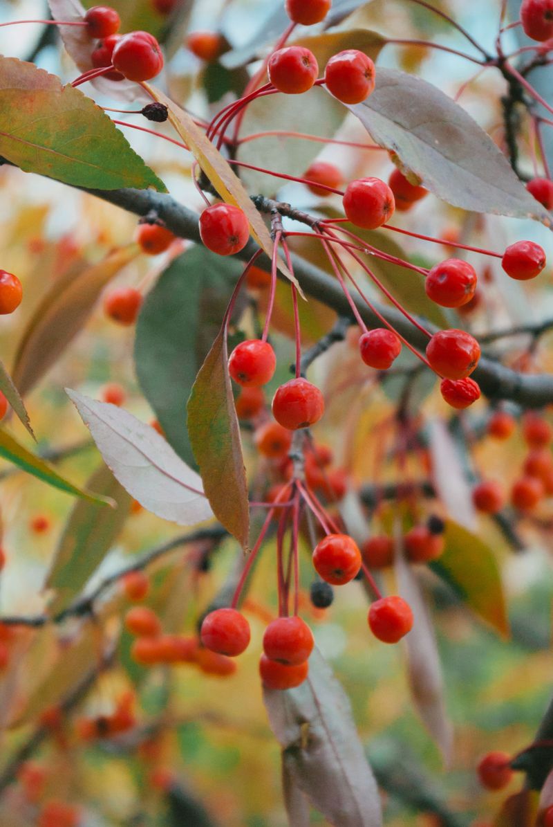 Food Sources Shift As Seasons Change Food Sources Shift As Seasons Change