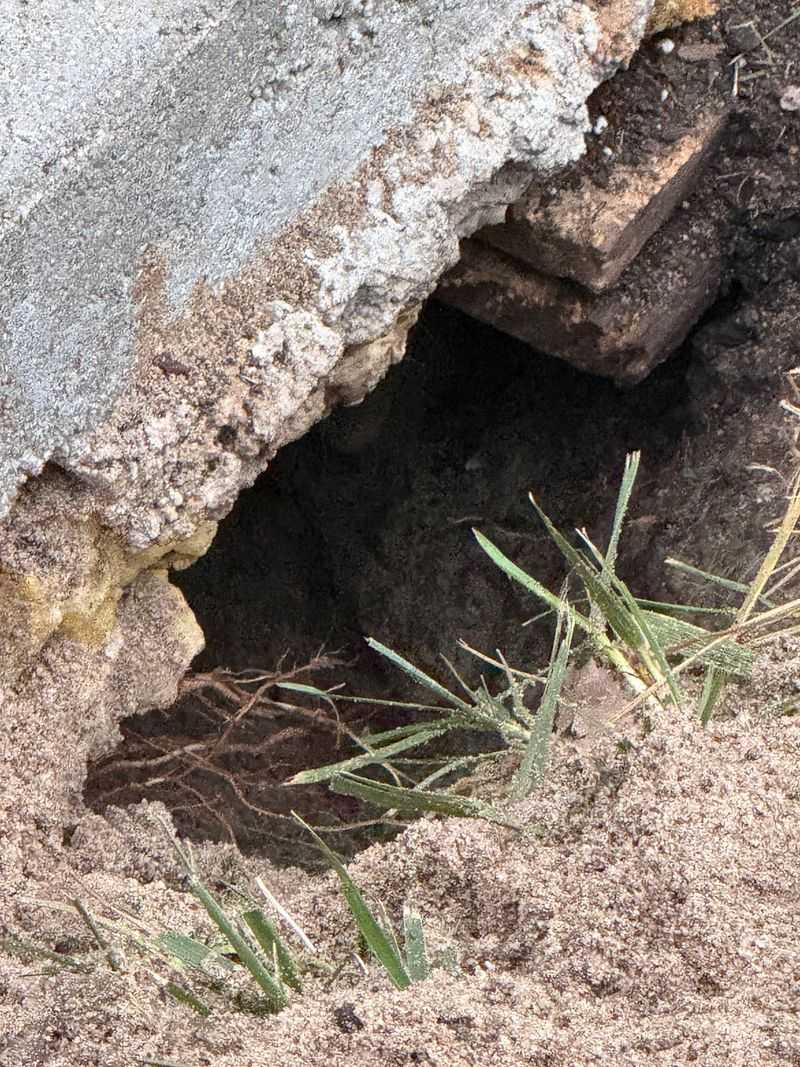 Foundation Damage Becomes A Real Concern