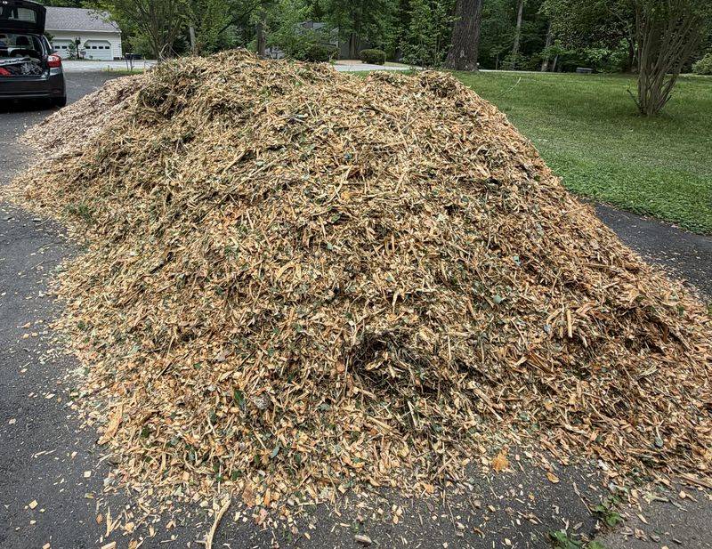 Fresh Tree Chips Doing More Than Looking Rustic Fresh Tree Chips Doing More Than Looking Rustic