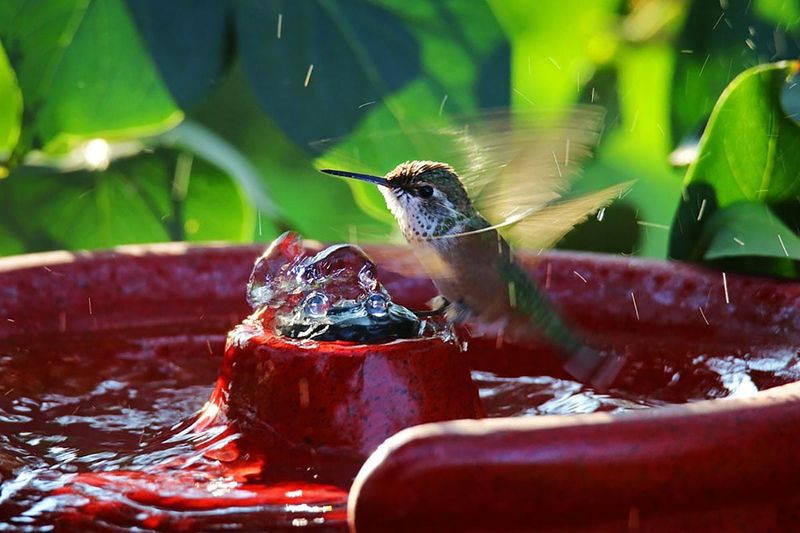 Fresh Water Becomes More Valuable In Summer Fresh Water Becomes More Valuable In Summer