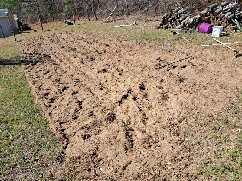 Freshly Turned Soil Can Bring Buried Weed Seeds Up
