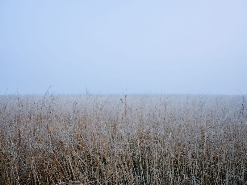 Frost Is Still Weeks Away