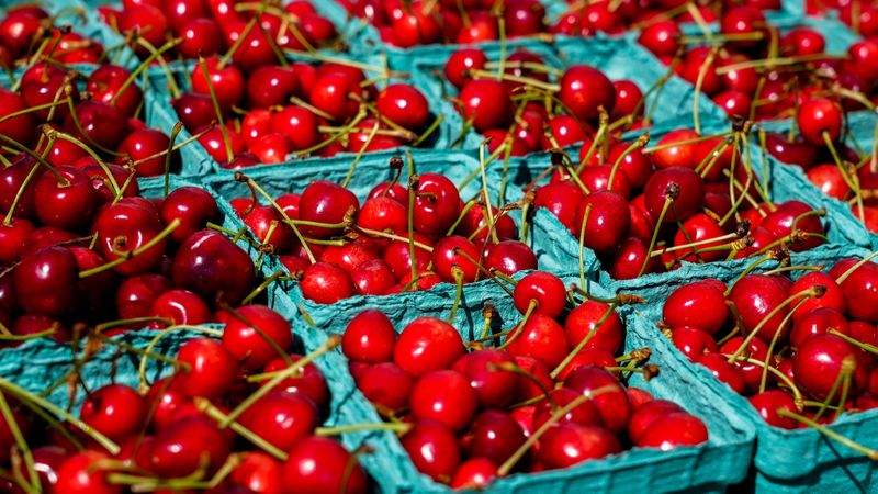 Fruit Quality May Differ Fruit Quality May Differ