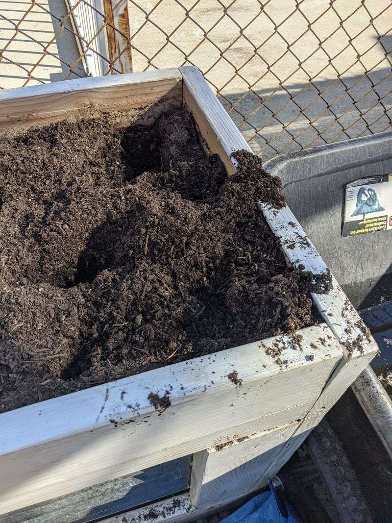 Garden Beds Can Be Easier To Search Than Hard Dry Ground Garden Beds Can Be Easier To Search Than Hard Dry Ground