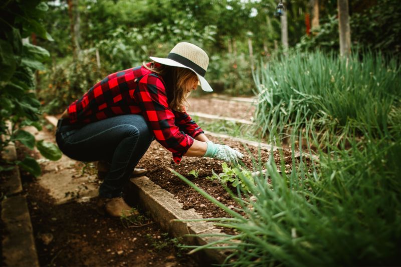 Gardening Provides Stress Relief Outdoors Gardening Provides Stress Relief Outdoors