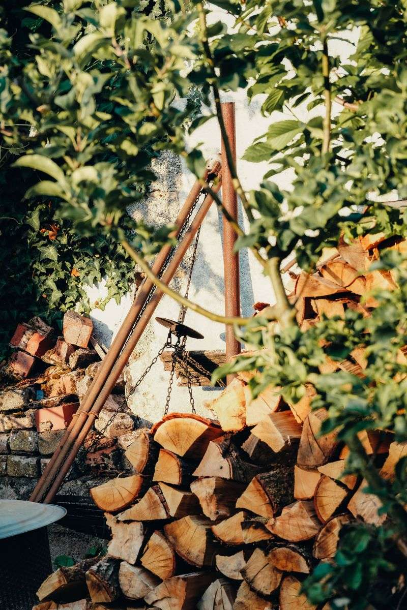 Gardens And Woodpiles Offer Ideal Hiding Spots Gardens And Woodpiles Offer Ideal Hiding Spots