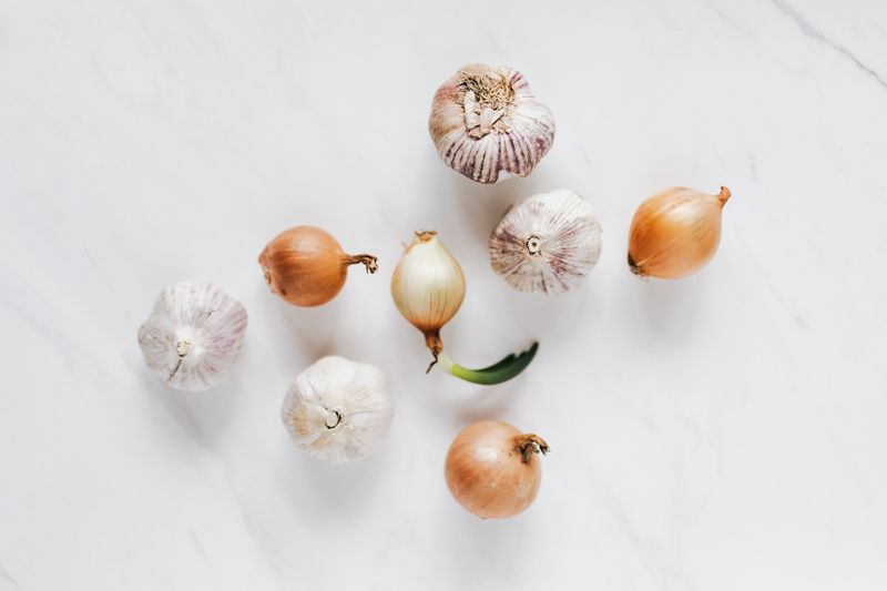 Garlic And Onion Scents Confuse A Rabbit's Nose Garlic And Onion Scents Confuse A Rabbit's Nose