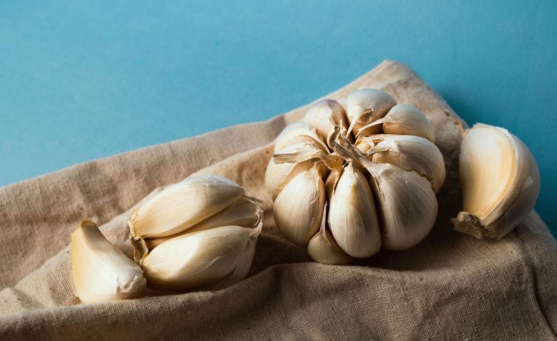 Garlic Cloves Create A Strong Barrier