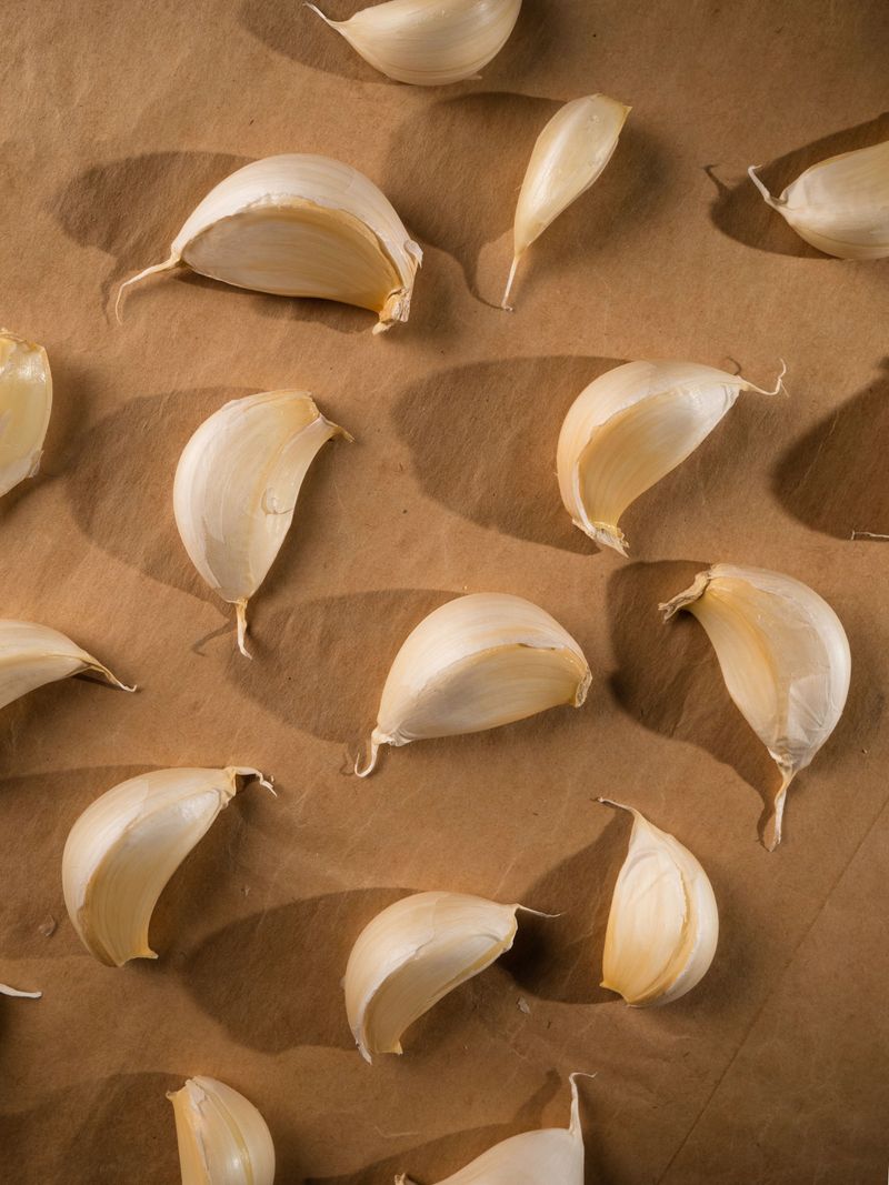 Garlic