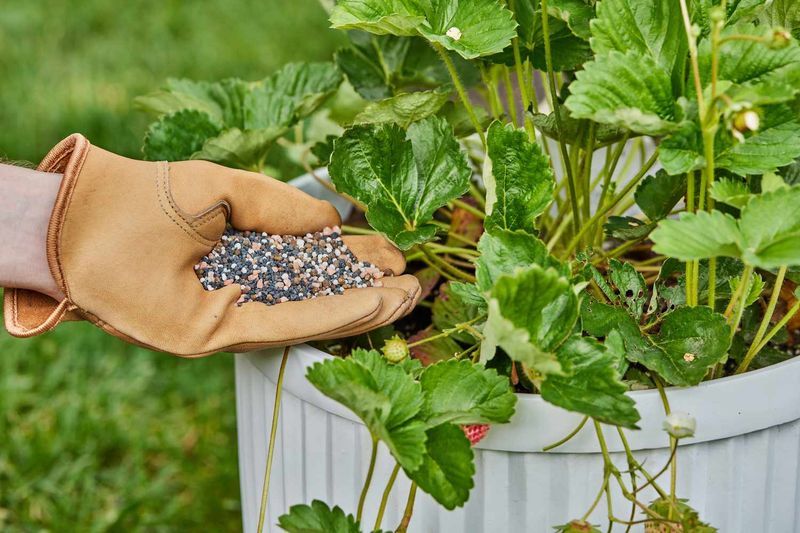 Get Ready For Late September Feeding Get Ready For Late September Feeding