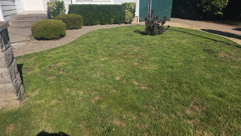 Get The Plan Approved Before The Sod Comes Out Get The Plan Approved Before The Sod Comes Out