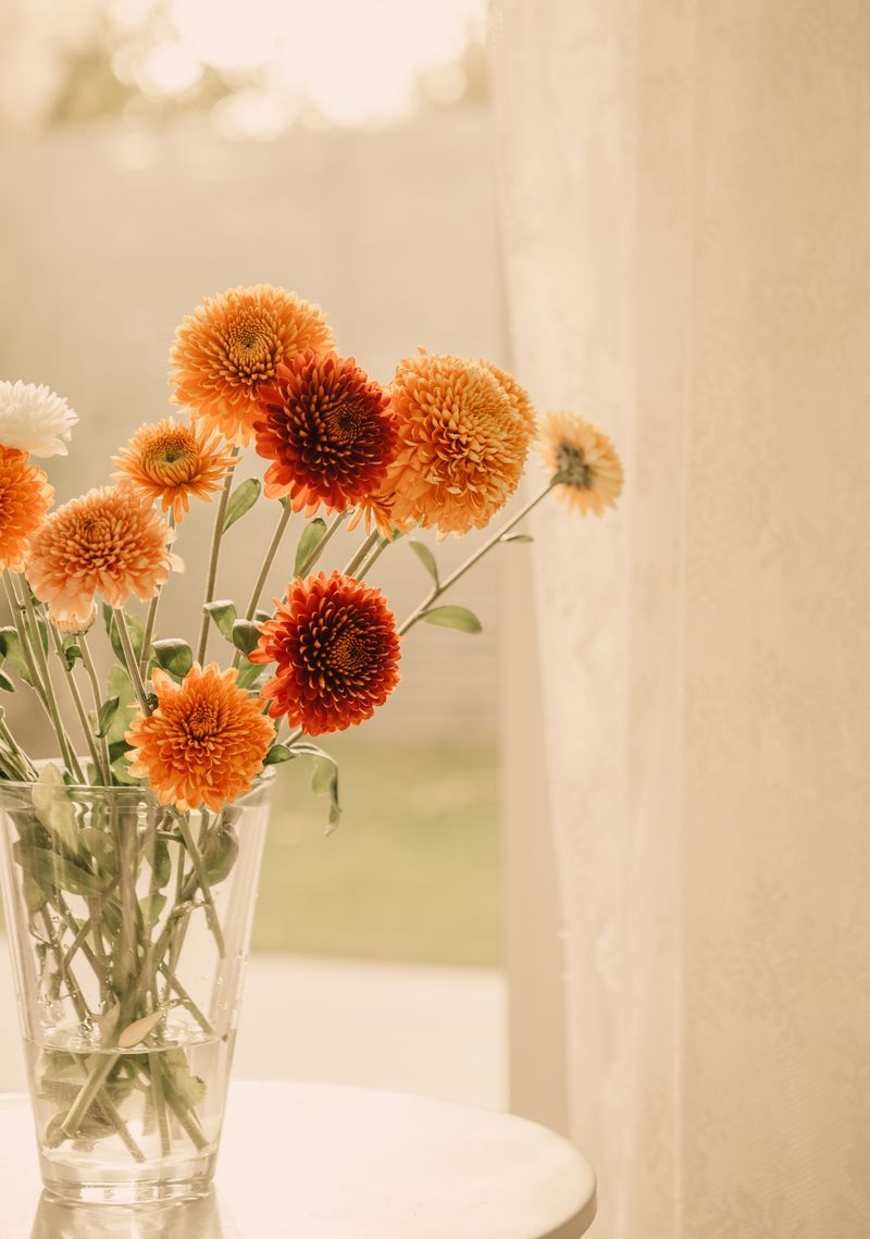 Getting Longer Stems Perfect For Cutting And Arranging Getting Longer Stems Perfect For Cutting And Arranging