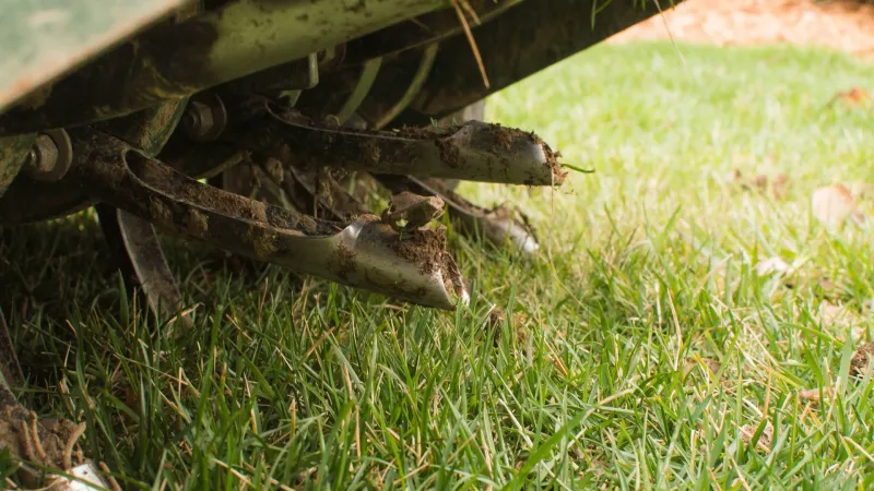 Give Crowded Turf More Airflow