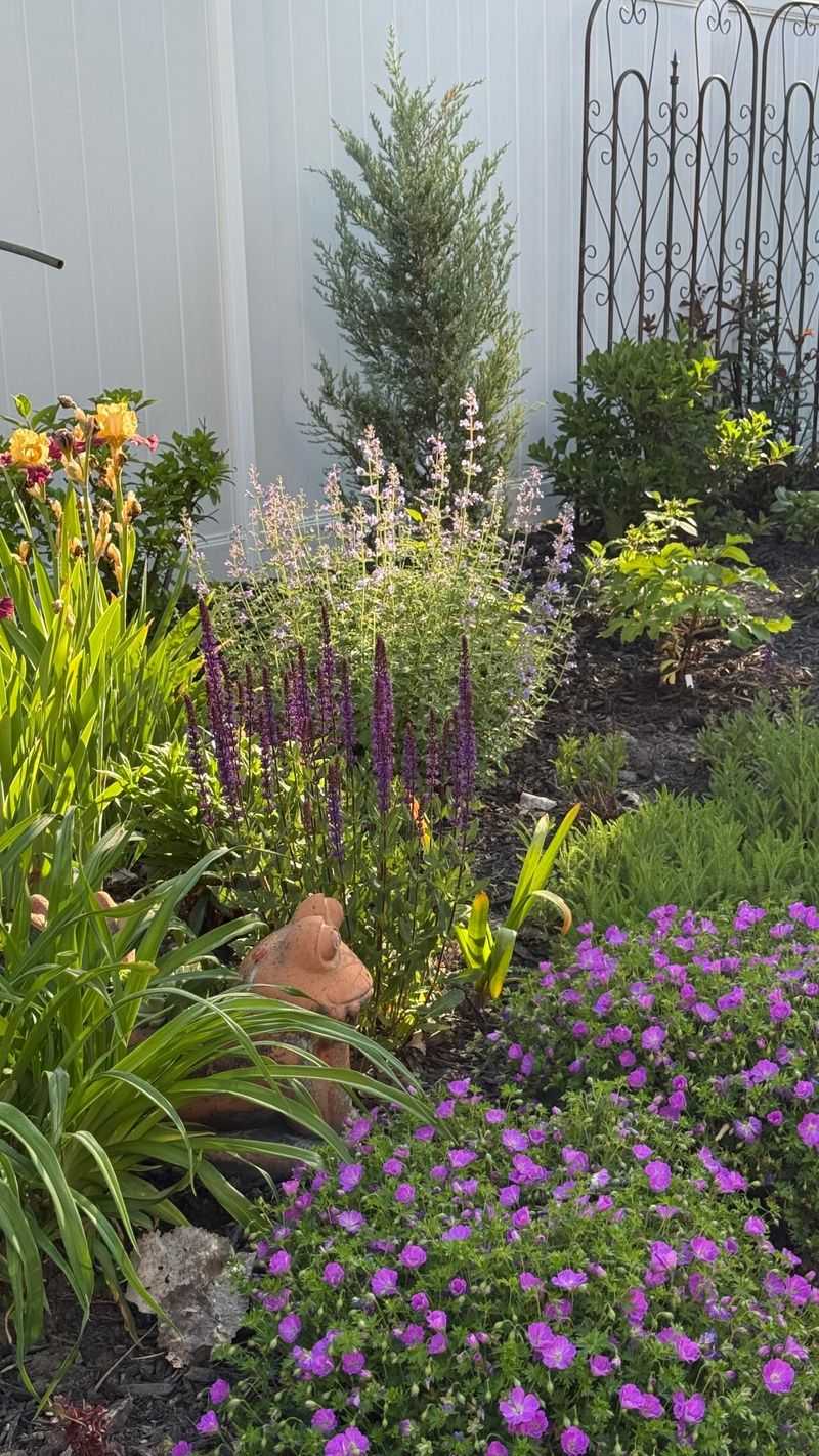 Give Every Plant Room To Breathe