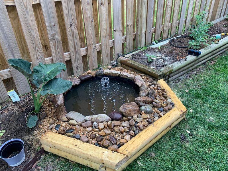 Give Frogs Easy Ways In And Out Of Water