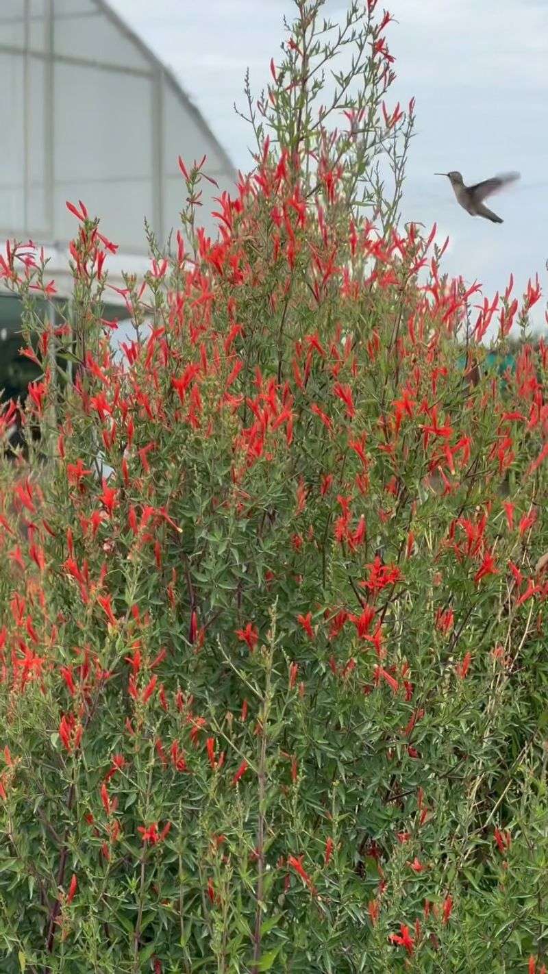 Give It Space And Keep Pruning Light