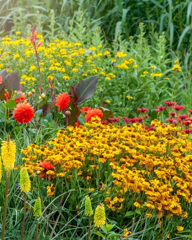 Give Plants The Right Sun Give Plants The Right Sun