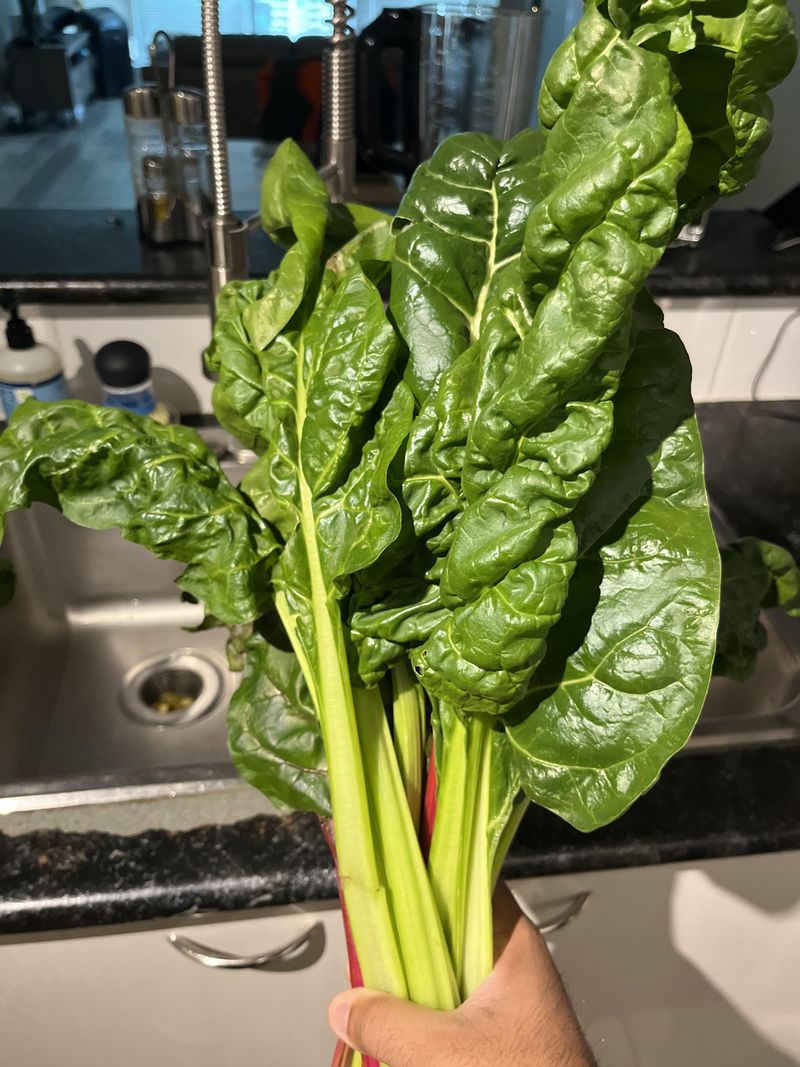 Give Swiss Chard A Late Season Start