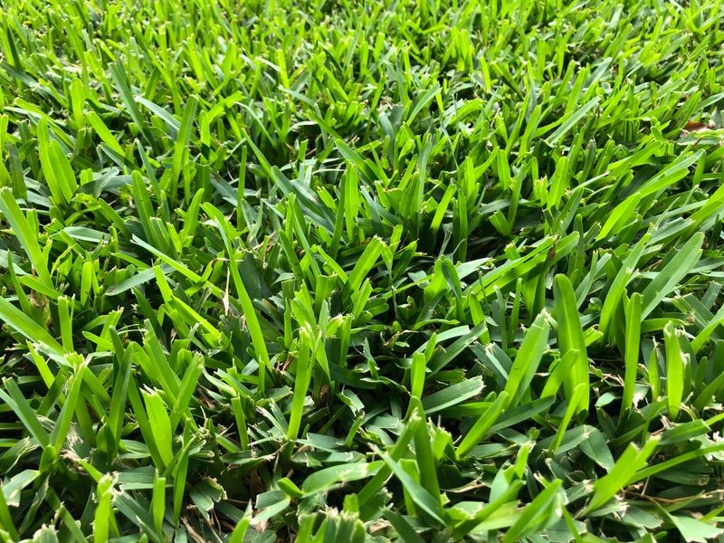 Give The Mower Blade A Little More Height