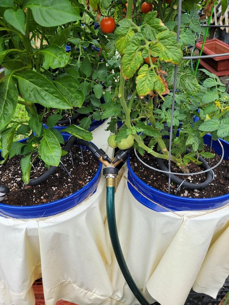 Giving Roots A Slow Soak Instead Of A Flood