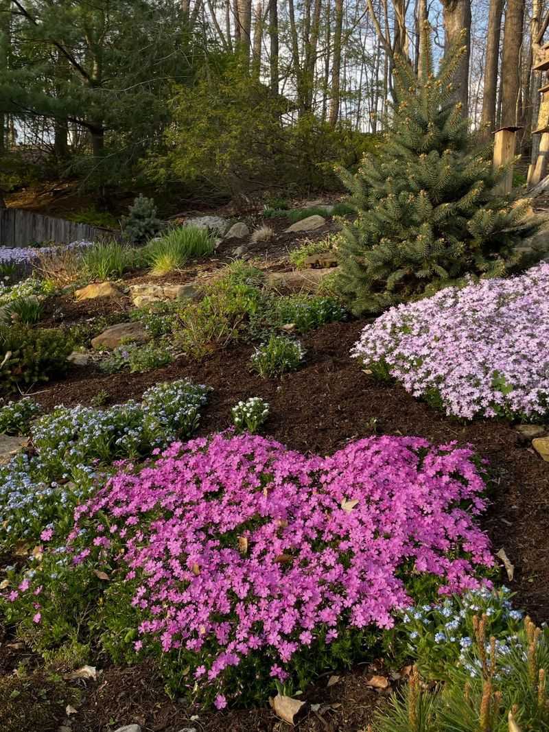 Good Drainage Is Essential During Summer