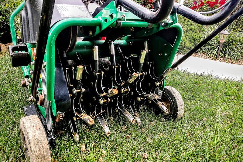 Good Soil Contact Makes Germination Much More Reliable Good Soil Contact Makes Germination Much More Reliable
