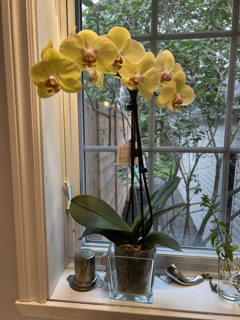 Gradually Brighter Conditions Can Put The Next Bloom Cycle Back On Track Gradually Brighter Conditions Can Put The Next Bloom Cycle Back On Track