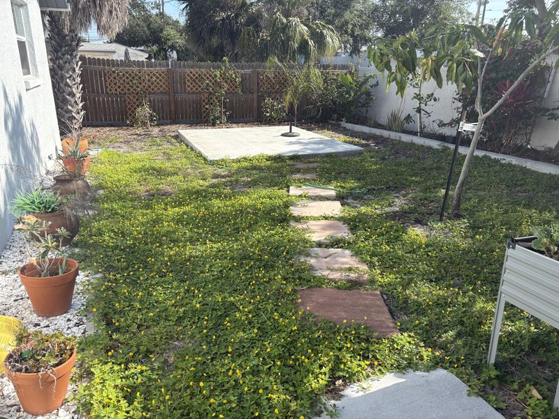 Groundcovers Need To Fill In Before Weeds Do Groundcovers Need To Fill In Before Weeds Do