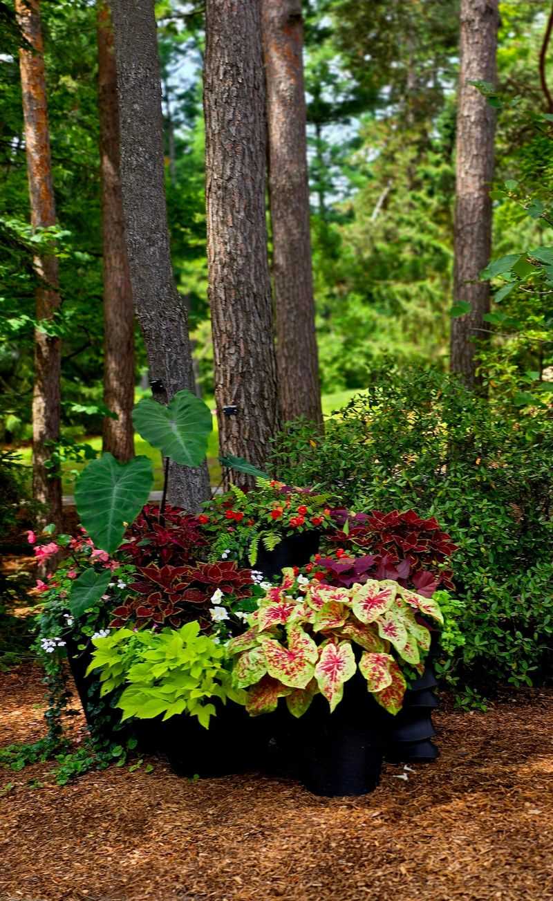 Group Containers For Shared Humidity Group Containers For Shared Humidity