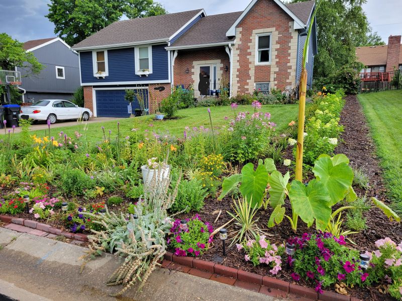Group Plants By Water Needs To Cut Heat Stress Group Plants By Water Needs To Cut Heat Stress