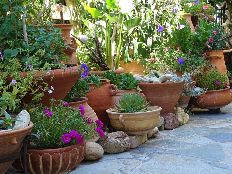 Group Pots Together To Trap Moisture Group Pots Together To Trap Moisture