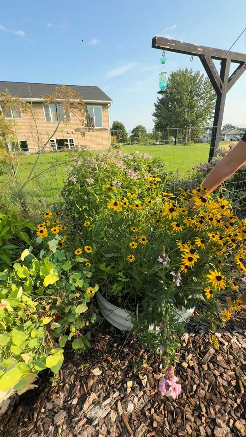Grow Plants Without Perfect Cleanup