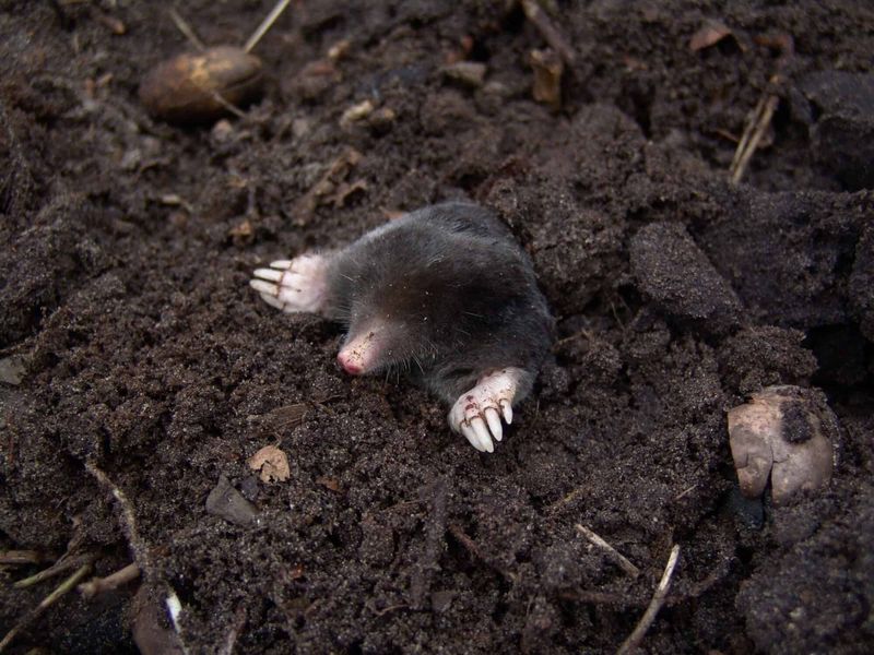 Grub Control Won't Solve The Whole Problem