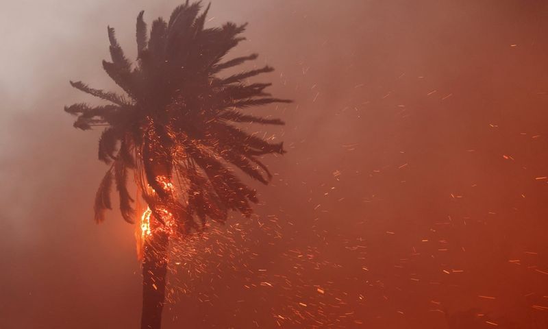 HOA Rules Can Require Hazardous Trees To Be Removed