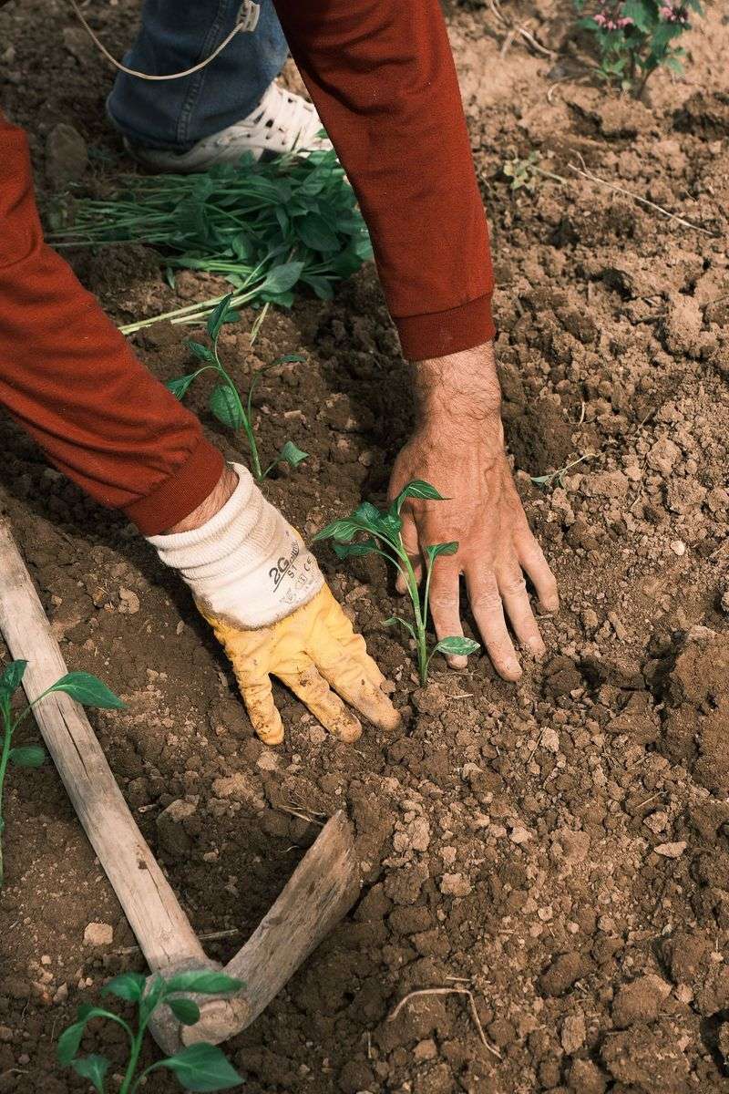 Hand Tools Reduce Reliance On Machinery Hand Tools Reduce Reliance On Machinery