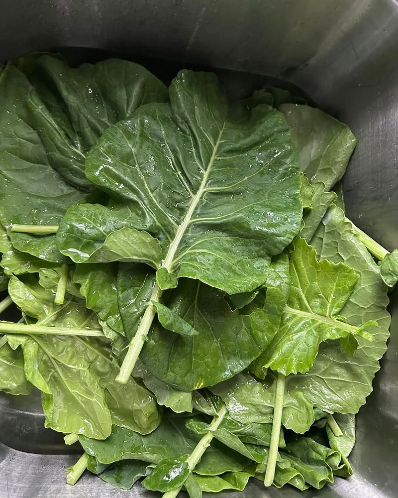 Harvest Outer Leaves As They Mature