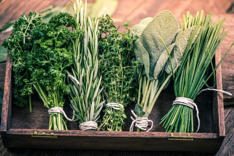 Harvesting Before Flowering Can Help Preserve Better Flavor And Color