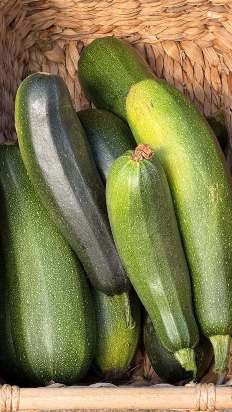 Harvesting Late Makes Zucchini Taste Worse