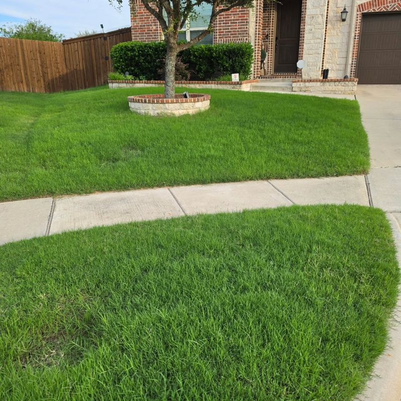 Healthy Roots Help Turf Recover From Feeding