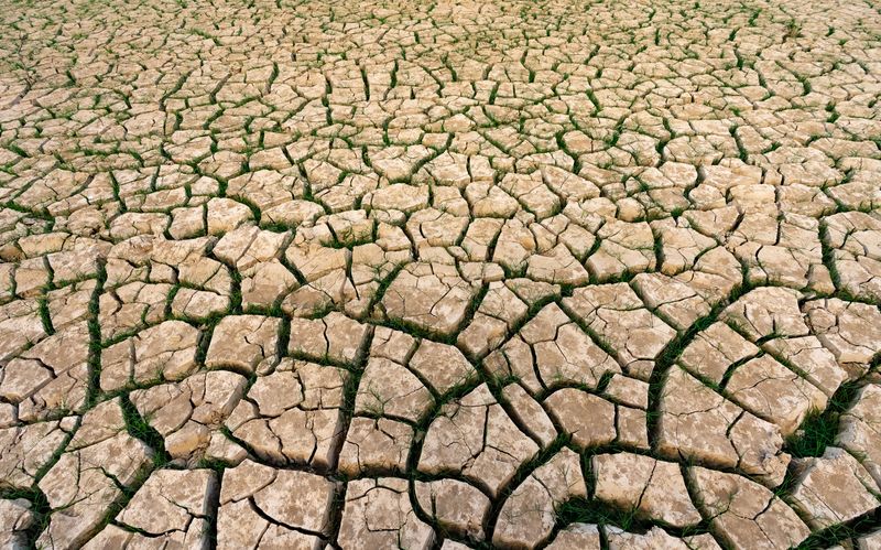 Heat Stress Builds Up Faster In Thin Soil Heat Stress Builds Up Faster In Thin Soil