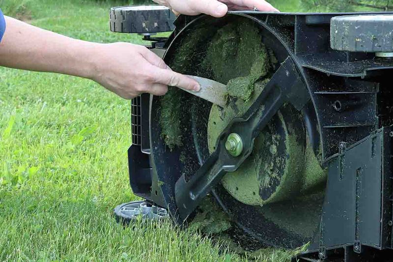 Heavy Clippings Can Pile Up On The Surface